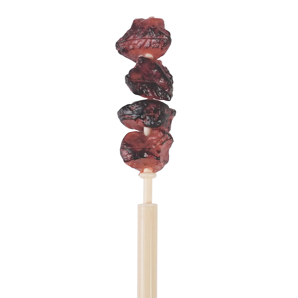 BBQ Skewer Ballpoint Pen (0.5 mm, Black Ink)