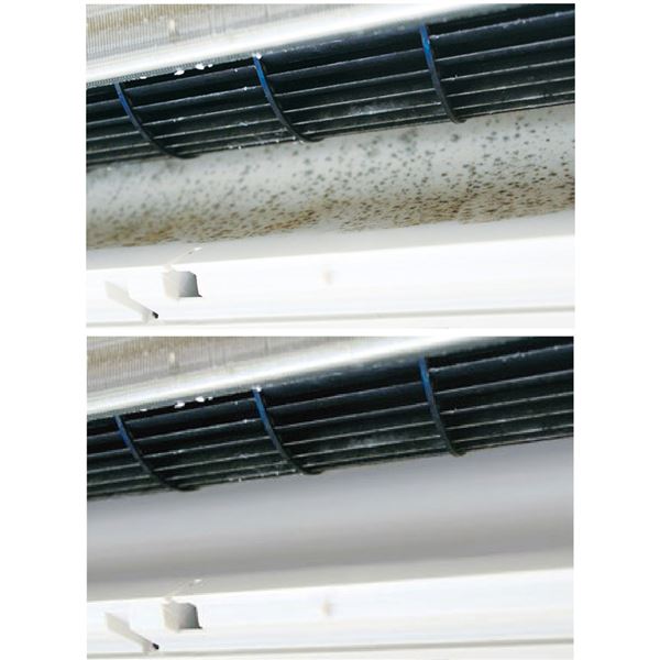 Air Conditioner Antifungal BIO Formula