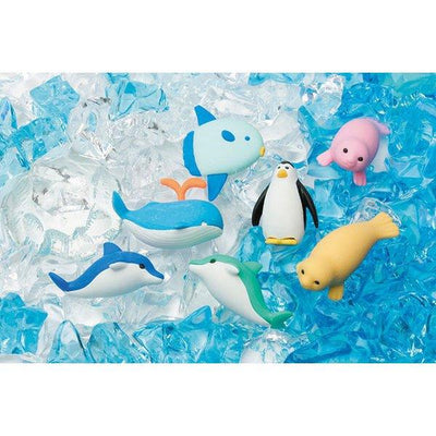IWAKO ER-961136 marine life series modeling eraser eraser wipe cloth dolphin whale penguin sea lion - CHL-STORE