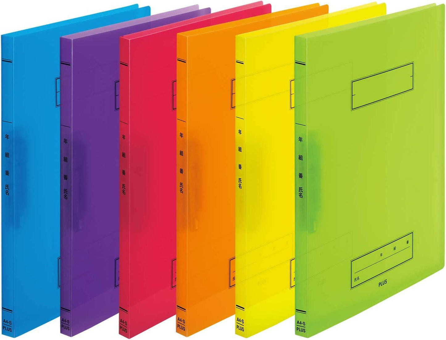 (Pre-Order) Plus Year Group Name School Punchless File A4 Z Type FL-194SF - CHL-STORE