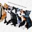 Lucky Kitten Plush Backpack - Limited Edition from Japan