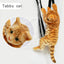Lucky Kitten Plush Backpack - Limited Edition from Japan