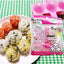 Rice Ball Days Chibimaru 3 rice ball brothers. Make cute spherical rice balls at will. One-bite rice balls. Ball rice ball mold. Small ball sushi.