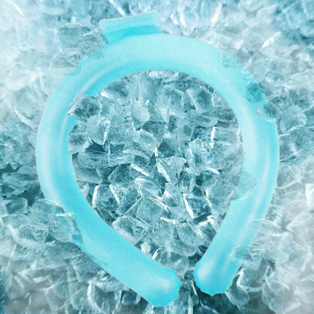 Reusable Cooling Neck Ring