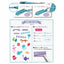 Sun-star DECOT double-ended marker color-changing pen