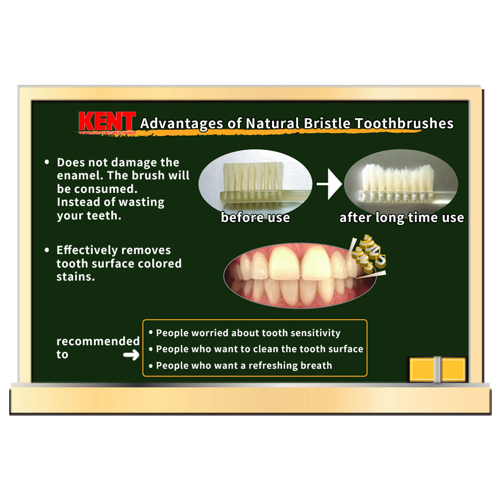RoyalCare Natural Horse Bristle Toothbrush by KENT