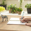 ZEBRA BIOTUBE  BioPen: Sustainable Smooth Writing Experience