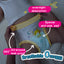 Pampers Qiaohu Kids Night Pants