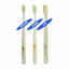RoyalCare Natural Horse Bristle Toothbrush by KENT