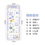 Cute circus series pvc waterproof stickers flowers pet kittens decorative stickers pocket stickers