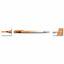 Sun-star DECOT double-ended marker color-changing pen highlighter pen Japanese stationery office study student notes