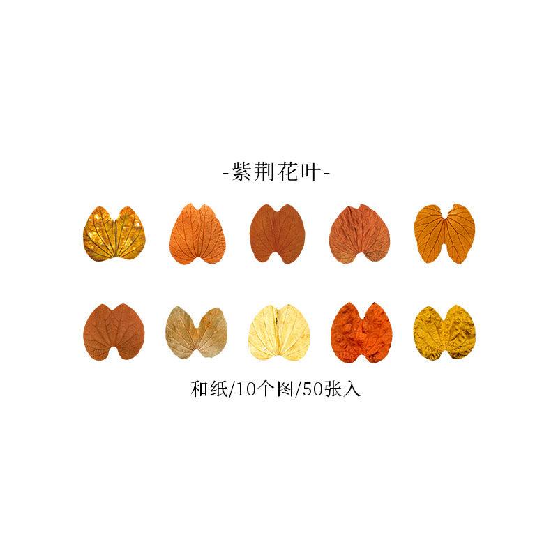 Good day Champs deciduous series leaf shape decorative paper handicraft art labor DIY art decoration - CHL-STORE 