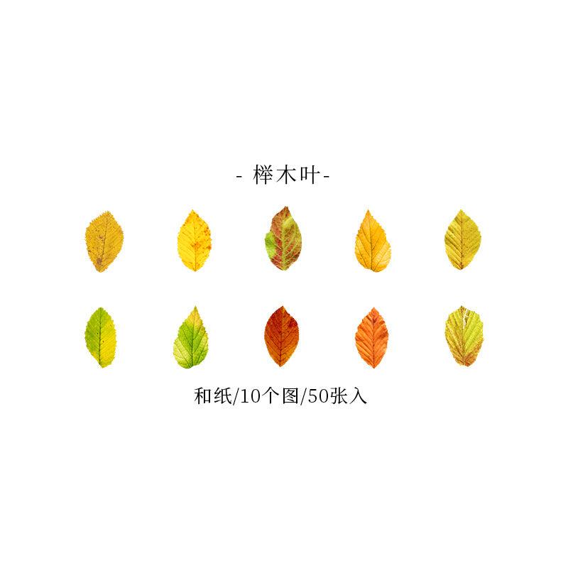 Good day Champs deciduous series leaf shape decorative paper handicraft art labor DIY art decoration - CHL-STORE 