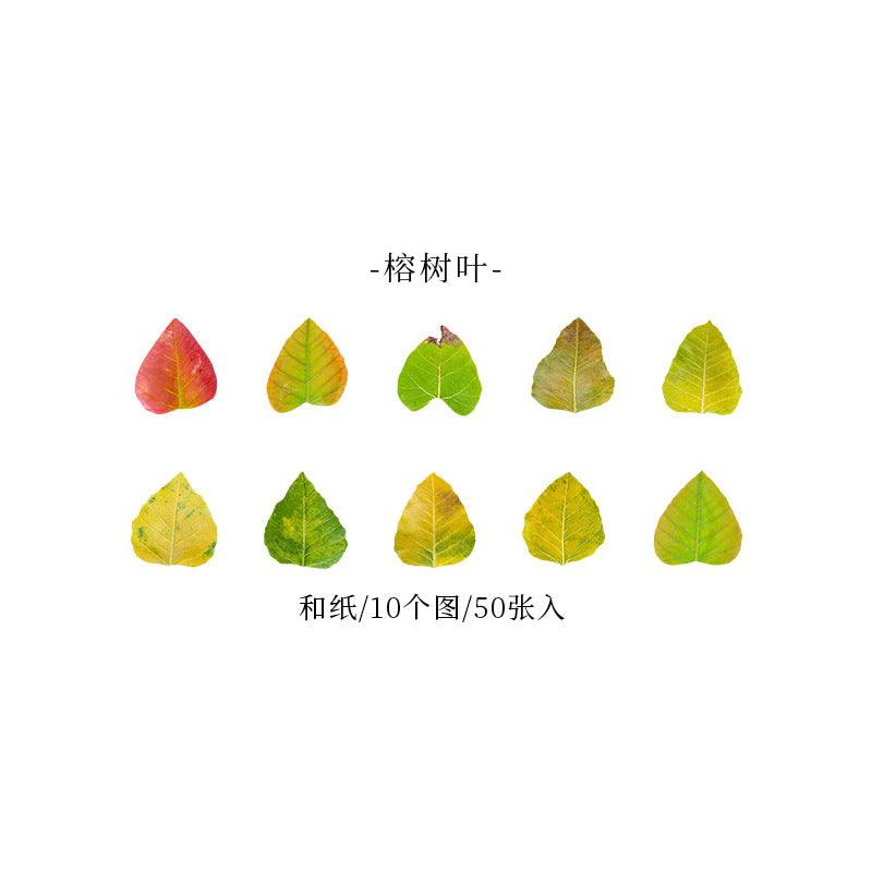 Good day Champs deciduous series leaf shape decorative paper handicraft art labor DIY art decoration - CHL-STORE 