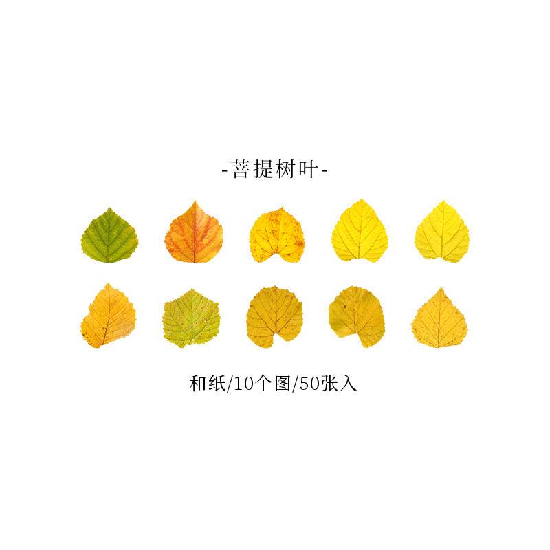 Good day Champs deciduous series leaf shape decorative paper handicraft art labor DIY art decoration - CHL-STORE 