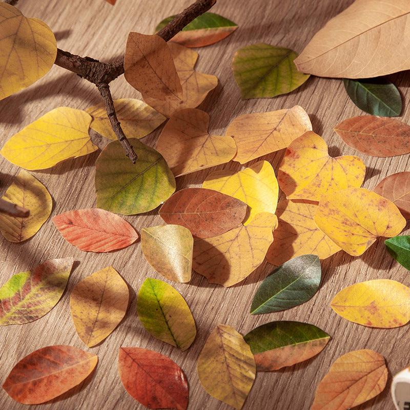 Good day Champs deciduous series leaf shape decorative paper handicraft art labor DIY art decoration - CHL-STORE 
