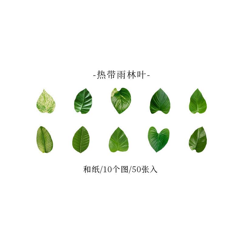 Good day Champs deciduous series leaf shape decorative paper handicraft art labor DIY art decoration - CHL-STORE 