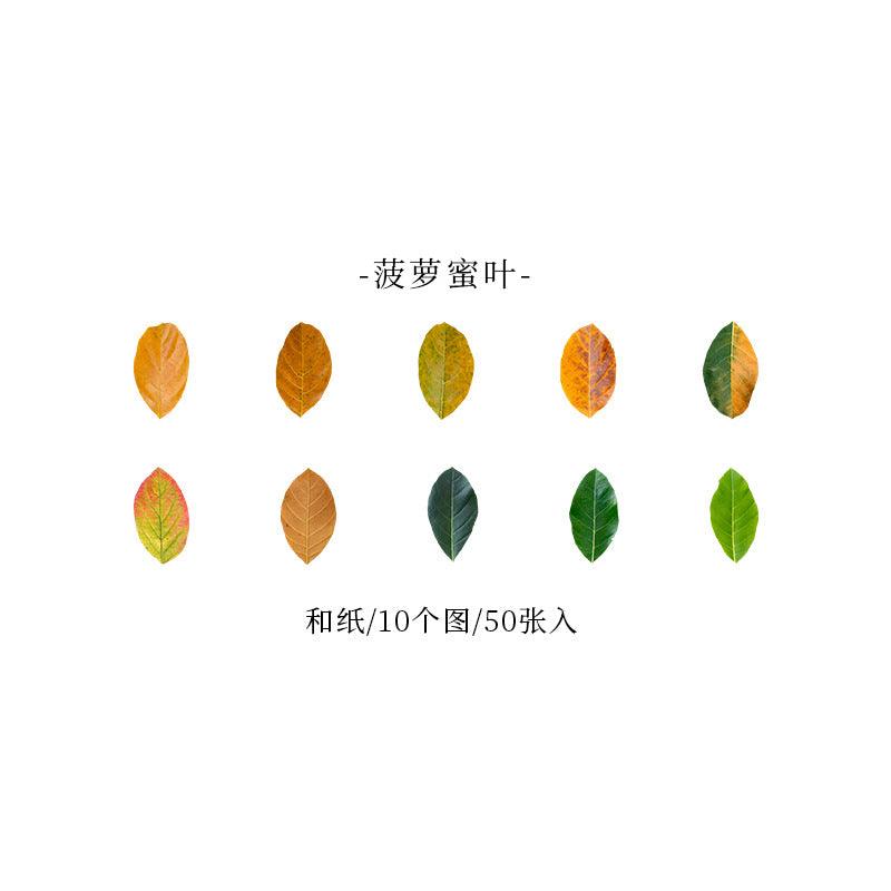 Good day Champs deciduous series leaf shape decorative paper handicraft art labor DIY art decoration - CHL-STORE 