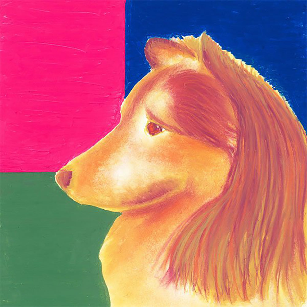 Kitpas Rice Water Crayons 6 Colors Non-toxic Children's Design Child-friendly Creative Doodling Artist ecru Super Easy Cleanup