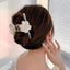 Korean Fairy French minimalist retro Metal Tassel Pearl Large Shark Clip Beauty Salon Exquisite Hair Clip Net Beauty Blonde Fashion Accessories - CHL-STORE 