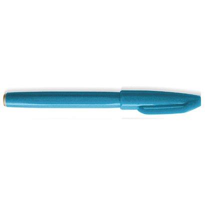 Pentel TOUCH BRUSH S520 soft painting pen first generation signature pen color pen graffiti coloring painting tool