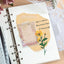 PET retro lace, hollow frame stickers, retro romantic stickers, waterproof materials, creative materials, decorative DIY, handbook collage - CHL-STORE 