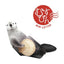 KAMITERIOR sutanpi! Animal shape message card Message card MEMO note paper - CHL-STORE 