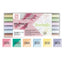Kuretake water-based double-head marker six-color group marker bright color group pastel color group - CHL-STORE 