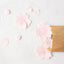 Letters of Lovers Sakura Cherry Blossoms Flowers and Leaves Petals Ginkgo Leaves Decorative Messages Notes NP-H7TAY-0238 - CHL-STORE 