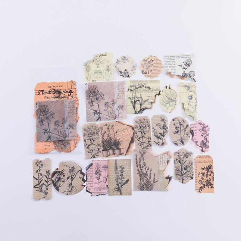 Momo and Paper Sticker Packs Time Fragments Series Retro PET Stickers Styling Stickers Retro Stickers Decorative Stickers - CHL-STORE 