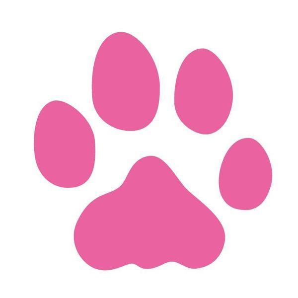 PILOT SPF-12 FRIXION Series erasable Cute Seal - CHL-STORE 