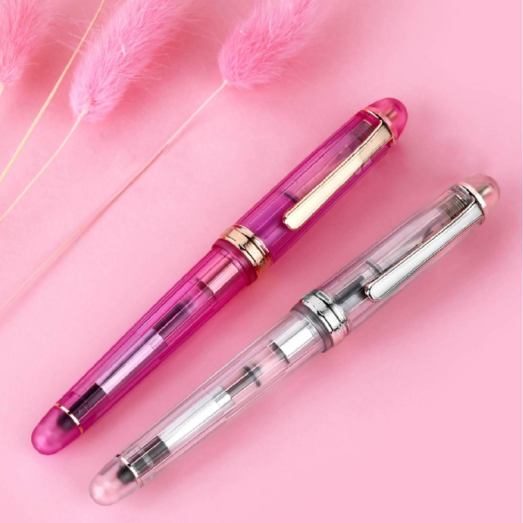 Platinum 3776 PLA-PNB-20000R-22-F CENTURY NICE Syringa oblata Pen Limited 14K gold nib - CHL-STORE 