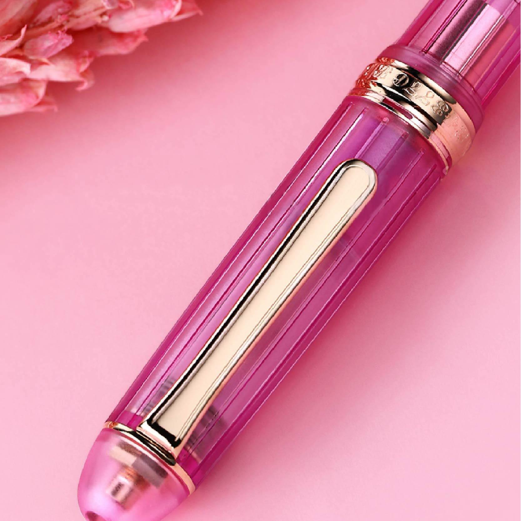 Platinum 3776 PLA-PNB-20000R-22-F CENTURY NICE Syringa oblata Pen Limited 14K gold nib - CHL-STORE 