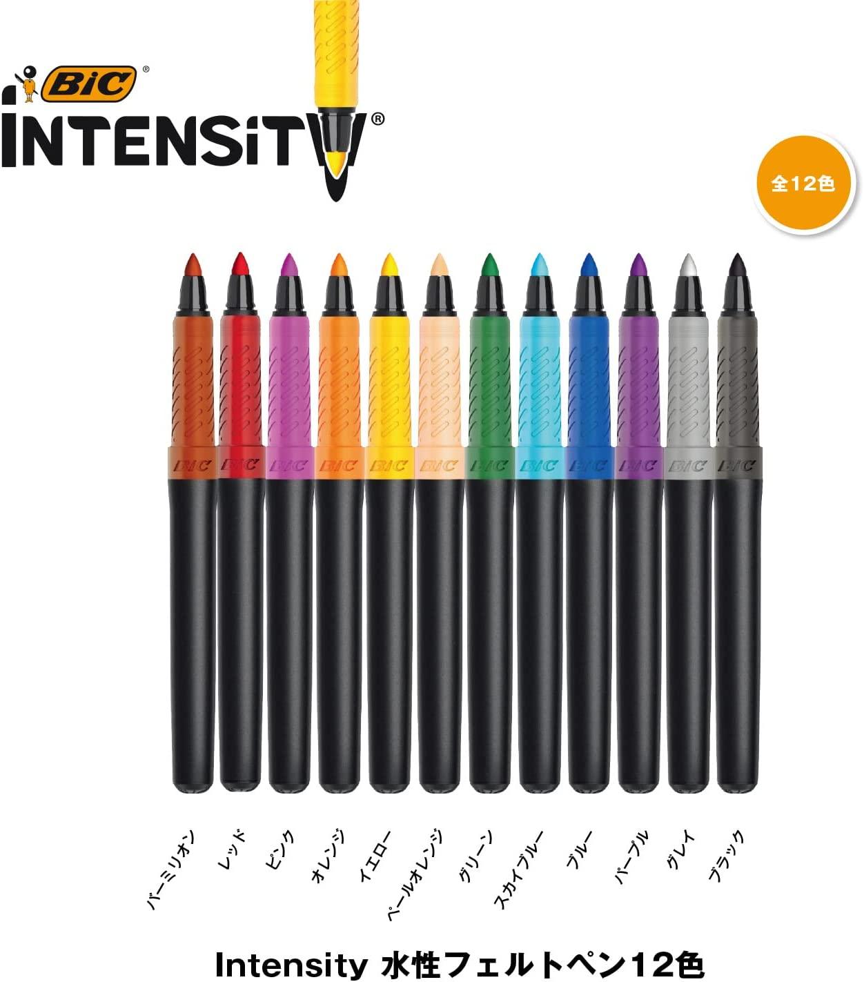 (Pre-Order) BIC Intensity Felt-Tip pen 0.7mm Water-based pen ITS-FEPFNPK12 - CHL-STORE 