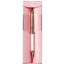(Pre-Order) Pentel Vicuna EX 3 Series Sielina 0.5mm Oil-based Ballpoint Pen BX3005 XBXS5J/7J - CHL-STORE 