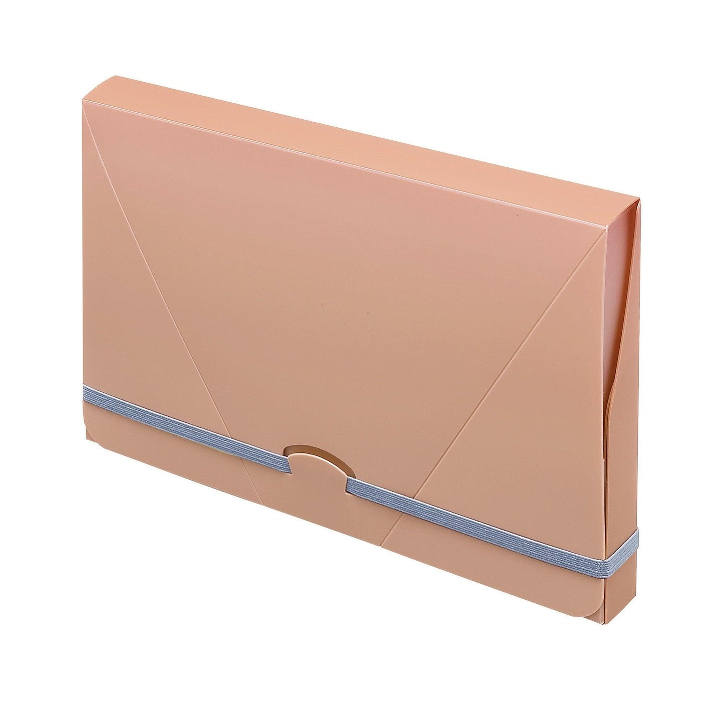 (Pre-Order) PILOT+LIHIT LAB. Portable work file A5 slim PL-F05-74 - CHL-STORE 