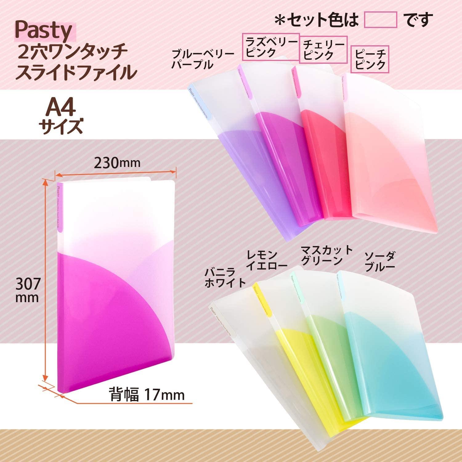 (Pre-Order) PLUS File A4 Pasty Pasty 2-Hole One-Touch Slide File FL-110OS - CHL-STORE 