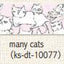 (Pre-Order) SEAL-DO 15mm x 3m glitter Masking tape hologram silver foil KS-DT-100 - CHL-STORE 