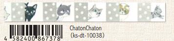 (Pre-Order) SEAL-DO 15mm x 3m glitter Masking tape matt silver foil KS-DT-100 - CHL-STORE 
