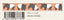 (Pre-Order) SEAL-DO 15mm x 7mm endangered species Masking tape KS-MT-103 - CHL-STORE 