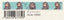 (Pre-Order) SEAL-DO 15mm x 7mm endangered species Masking tape KS-MT-103 - CHL-STORE 