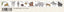 (Pre-Order) SEAL-DO 27mm x 7mm endangered species Masking tape KS-MT-1602 - CHL-STORE 