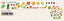 (Pre-Order) SEAL-DO 45mm x 10m design craft tape KS-CFT-1000 - CHL-STORE 