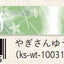 (Pre-Order) SEAL-DO Japanese pattern Masking tape 15mm*10m KS-WT-100 - CHL-STORE 