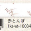 (Pre-Order) SEAL-DO Japanese pattern Masking tape 15mm*10m KS-WT-100 - CHL-STORE 