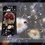 Yuxian PET Sticker Pack Yesterday's Flower House Series Decorative Stickers NP-000115 - CHL-STORE 